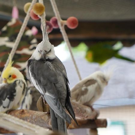 Maerchencamping Stuhr Exteriör bild