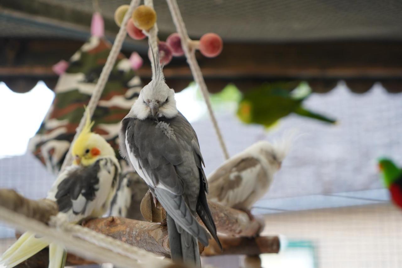 Maerchencamping Stuhr Exteriör bild